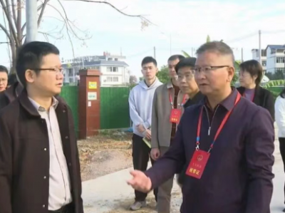 平远县人大常委会组织开展人大代表票决民生实事项目督查 