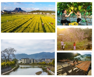 梅州1组织3作品获奖！广东省“百千万的家”征集展示活动结果公布  