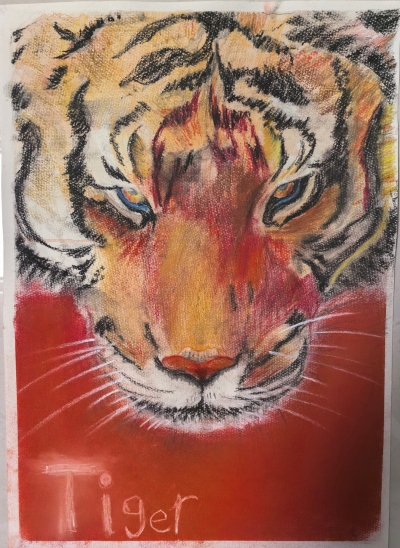 梅江区元城小学杨逸丨绘画