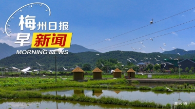 梅州日报早新闻丨外卖平台推荐性国家标准发布实施；梅州打击张网捕鸟等乱捕滥猎和线上线下非法交易鸟类行为