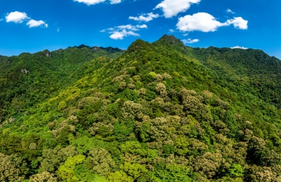 十部门推动建立生态警务机制，这些犯罪活动将严打