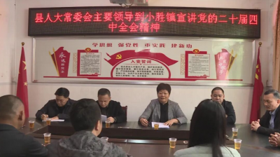 邱翠茂率队到丰顺县小胜镇宣讲党的二十届四中全会精神并调研“百千万工程”