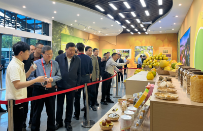 第三届广东林业博览会参观调研活动举办：感受红色苏区 驱动绿色崛起