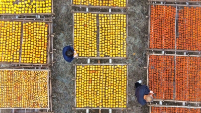 梅州视觉丨晒秋好“丰”景