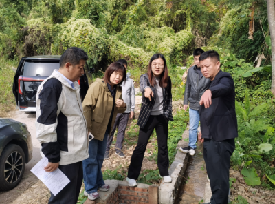 以实际行动架起帮扶“连心桥”！荔湾区驻镇帮镇扶村组团单位深入白渡镇走访调研