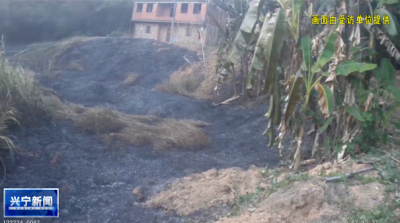 以案为鉴！兴宁市石马镇一村民违规焚烧杂草引火情被拘留