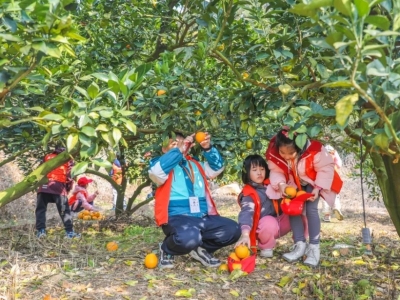阳光、甜橙、欢笑！脐橙乐园探索之旅开启报名通道→