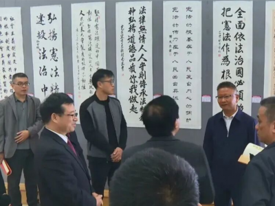 平远县开展“12•4”国家宪法日主题书画作品展