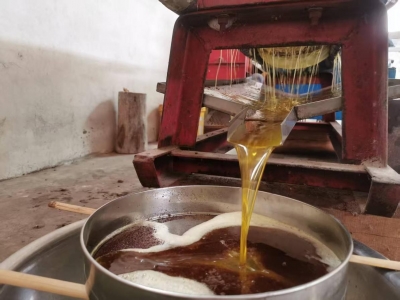 自有农庄 油中瑰宝｜来自高山的珍贵山茶油