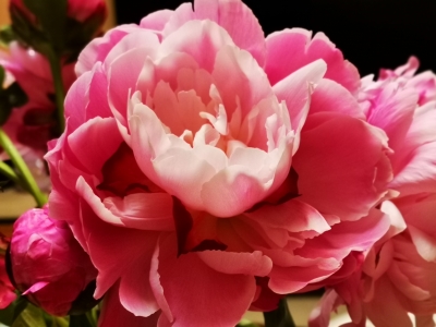 丁思深 | 话说镇平（七）：  ​乞巧取水七月七