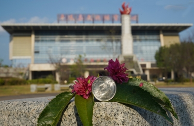 笔墨言志，光影传情！平远县宪法宣传书法摄影作品展佳作选登