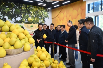 全国人大农业与农村委员会调研组来梅调研：深入推进城乡融合发展