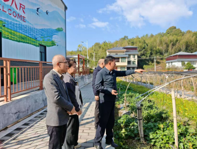 乡土经验遇上专业智慧！平远八尺探索“产业村长+科技特派员”双向赋能乡村振兴新路径