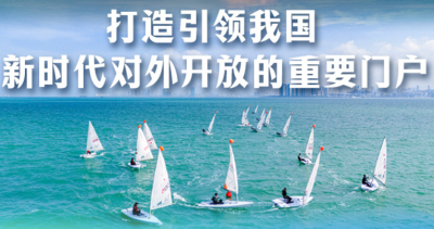 看图学习丨打造引领我国新时代对外开放的重要门户