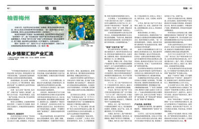 从乡情聚汇到产业汇流