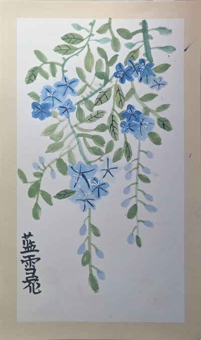 梅州市实验小学叶旻骏丨绘画