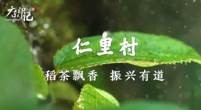 兴宁市永和镇仁里村：稻茶飘香 振兴有道