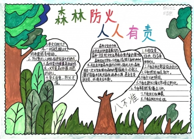 大埔小学刘孟然丨手抄报 