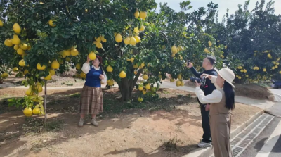 省级网络大V采风行活动走进梅县区：感受发展脉搏 共绘奋进新篇