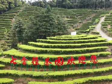 以“产业兴”带动“全域强”！五华118名“产业村长”显身手、助增收