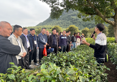 兴宁市举办2025年基层农技推广体系改革与建设项目农技人员能力提升培训班