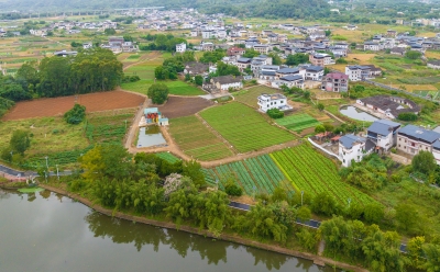 “巴掌田”变成“丰产园”，日产鲜蔬近8000斤