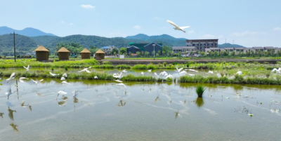 寿乡蕉岭：解锁山水间的幸福密码