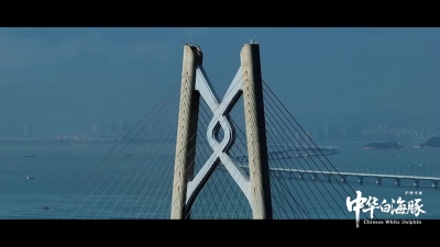 纪录电影《中华白海豚》