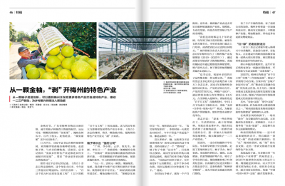 从一颗金柚，“剥”开梅州的特色产业