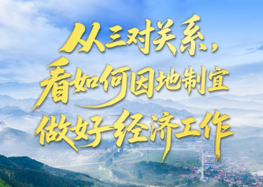壹视界·任平文章解读｜从三对关系，看如何因地制宜做好经济工作