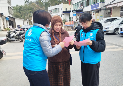 大埔县大麻镇开展“政合我意”养老政策宣传活动