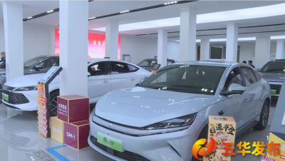 国补新政精准发力！元旦假期五华新能源汽车消费升温 