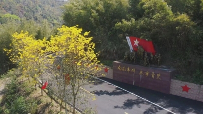 梅南镇：以“百千万工程”为引 以红色血脉为基 绘就乡村振兴新图景