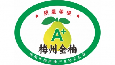 梅州金柚质量分级标准正式发布！首批10家柚企获等级标志授权