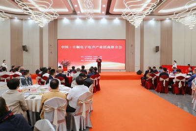 投资丰顺 财丰人顺！中国·丰顺电子电声产业招商推介会圆满举行