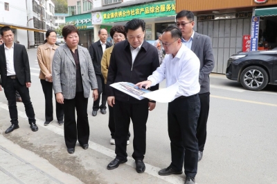 张志锋率队开展专题督导调研：以更高标准更大力度推进“百千万工程”典型镇村和重点项目建设推动城乡区域协调发展实现新突破
