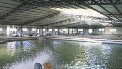 平远农技人员深入一线指导水产养殖户做好防寒防冻工作