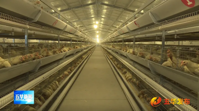 五华横陂镇崇文村：凝心聚力推“百千万工程” 实干笃行惠民生