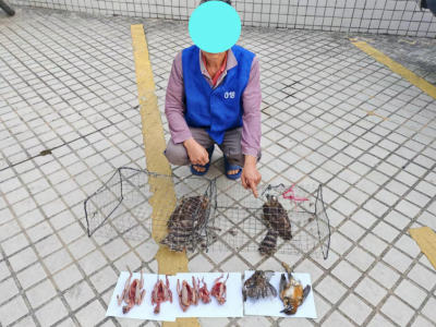 梅州全市均为禁猎区！两人因非法捕鸟被判刑