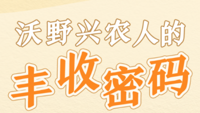 习近平总书记关切事·嘱托｜沃野兴农人的丰收密码