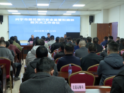 筑牢岁末“安全墙”！兴宁同步严抓烟花爆竹安全与森林防灭火工作