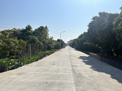 便民！梅江区东厢村浪塔振兴路春节前通车