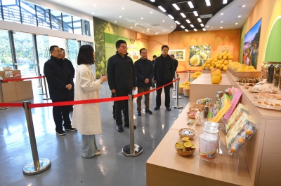 全国人大财经委调研组来梅调研：推动科学编制“十五五”规划纲要