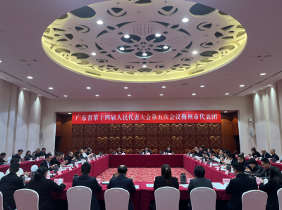 梅州代表团召开全体会议：推选马正勇为省十四届人大五次会议梅州代表团团长，王晖、蓝伟东为副团长