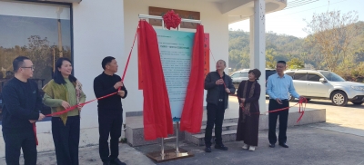 “三三行动”新时代文明实践文艺志愿服务助力“百千万工程”艺彩迎春·文艺赋美乡村系列活动在大埔举办