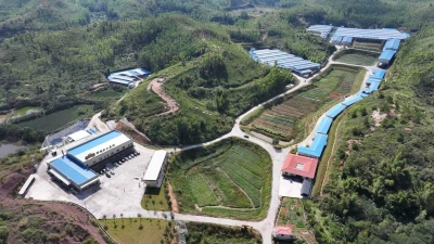 科技赋能鸽业 产业振兴乡村！广东宝宁农牧科技有限公司全力打造现代农业新标杆