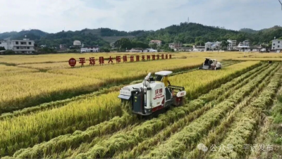 中央一号文发布在平远县引起热烈反响：推进“百千万工程”落地见效 加快建设农业强省