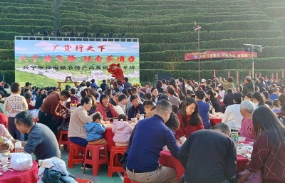 “网红村长”助力农产品畅销！“广货行天下——兴宁鸽飞扬·径南茶酒香”主题展销活动成功举办