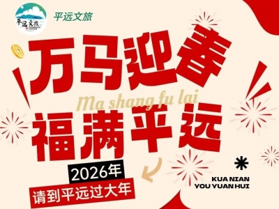 收藏这张表！平远县春节文体活动等您来，解锁年味新玩法→