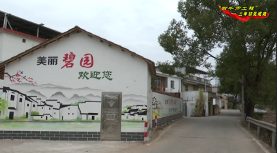 嗯，兴宁龙田镇不一样了！